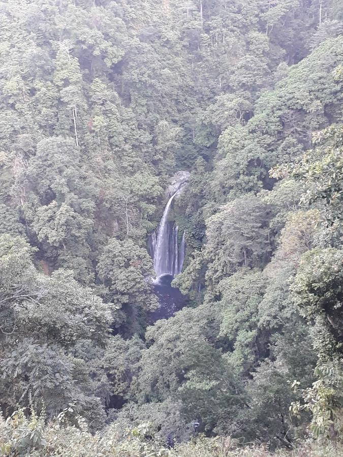 Ila Homestay Senaru Exteriör bild